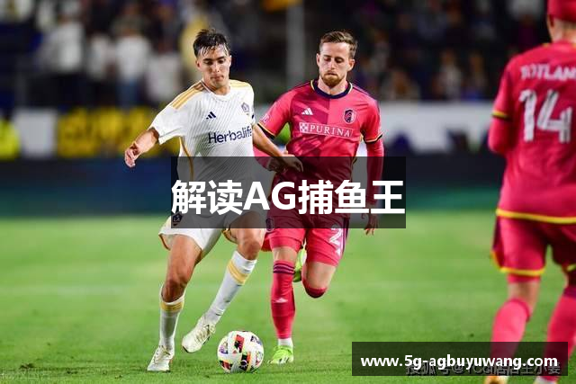 解读AG捕鱼王